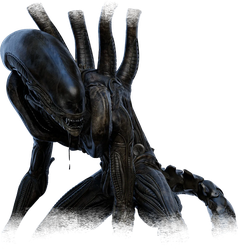 The Xenomorph portrait